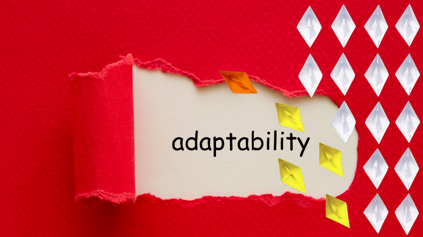 adaptive leadership
