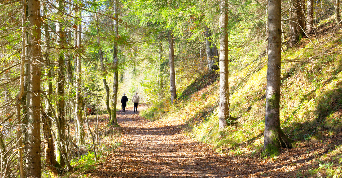 nature recovery walk